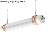 The Manufacturing Process of Triproof Lights at cigelighting